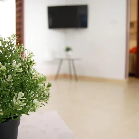 Pool Av Mancha * 또레비에하